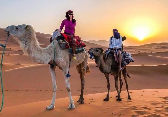 162826852-e1631099291266-700x490