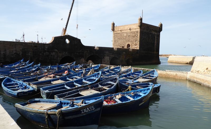 Escursione di una giornata a Essaouira
