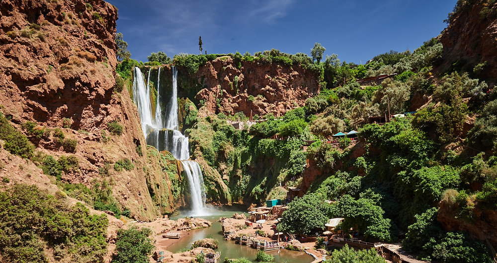 894d31_ac9a064adb314a2084e5f103dfe41a14~mv2