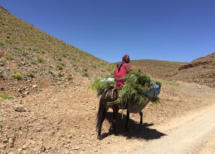 3 Giorni gole del ziz - erg chebbi - Ouarzazate