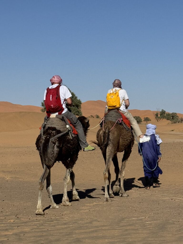 Trekking in cammello